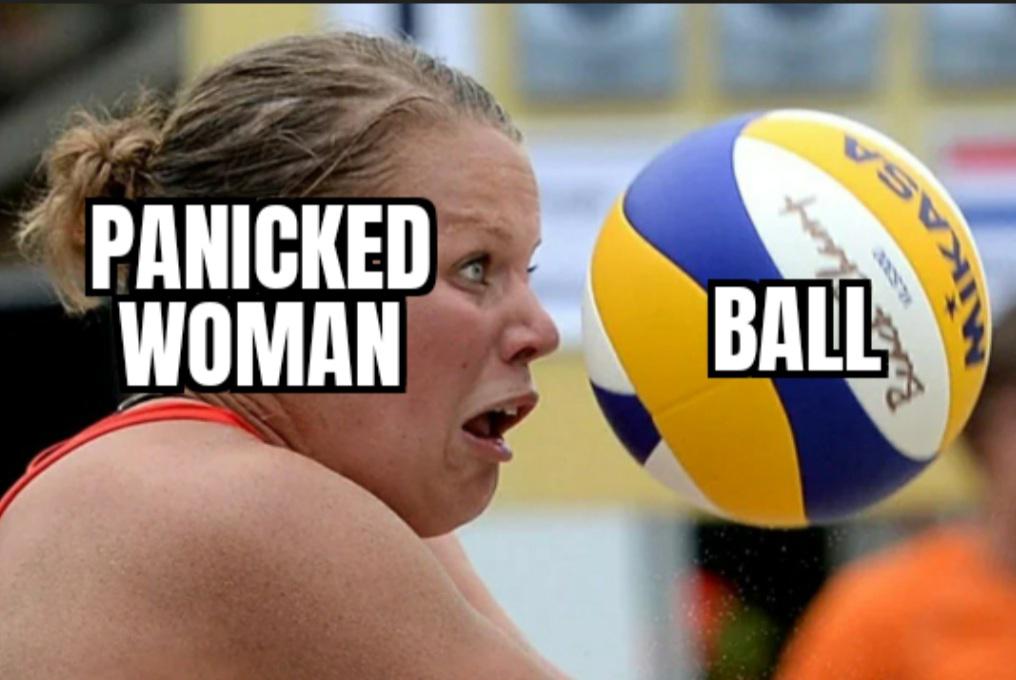 antimeme-11f0cev.jpg