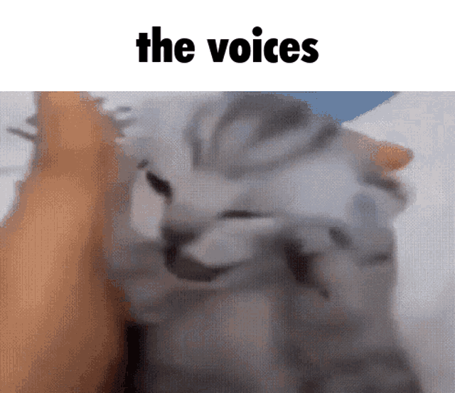 glasno.gif