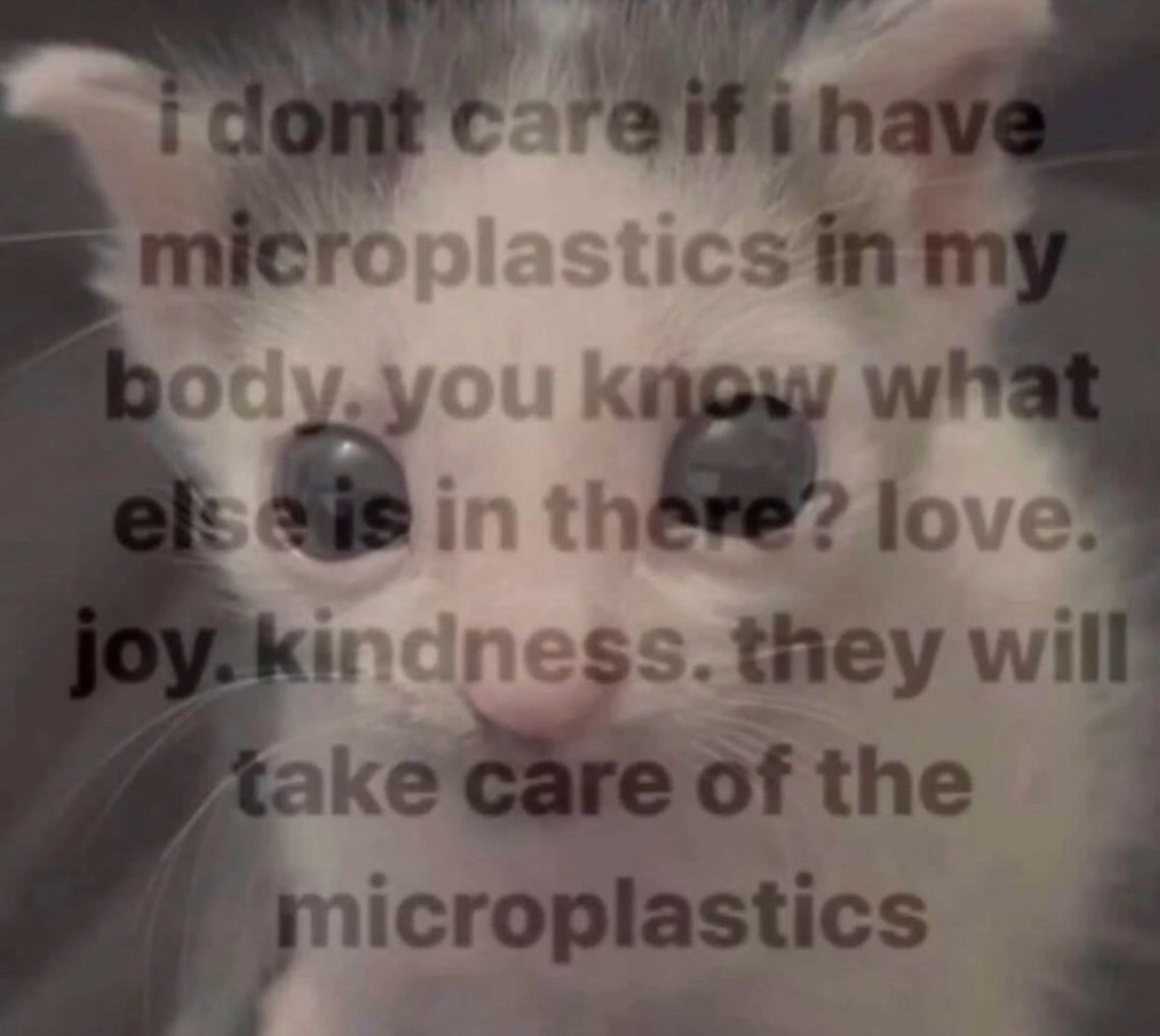 plastiq.jpg