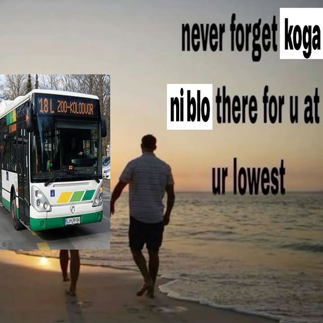 snapinsta.png