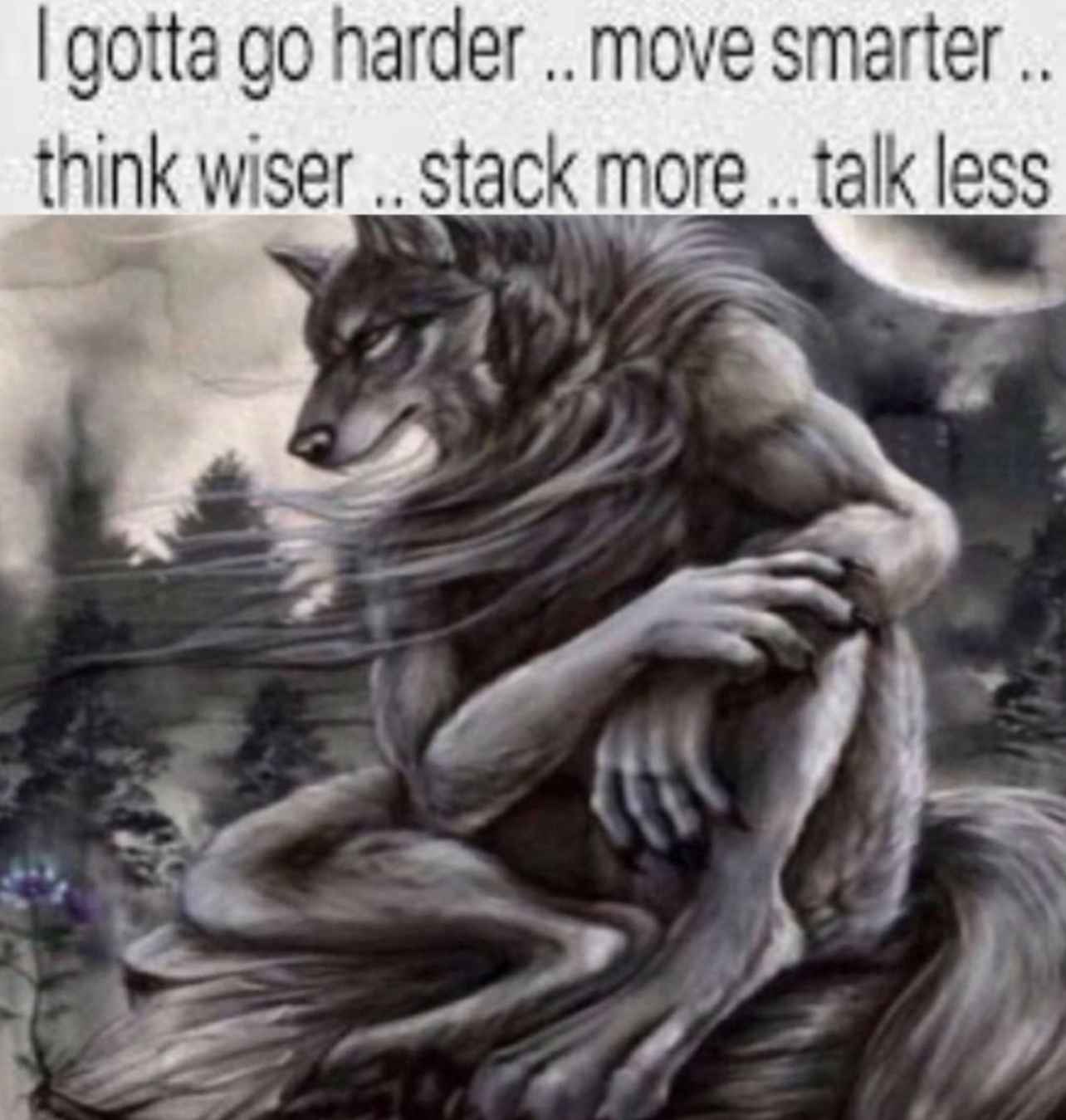 wise.jpg